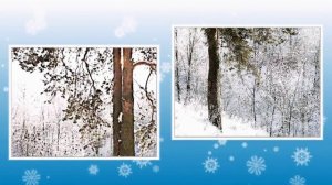 ЗИМА-ЧАРОДЕКА