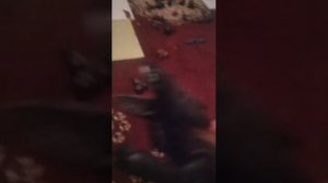 хочу пообщаться с вами 😁