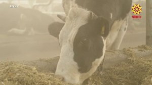 Чувашия вошла в десятку регионов по приросту производства молока за 2025 год