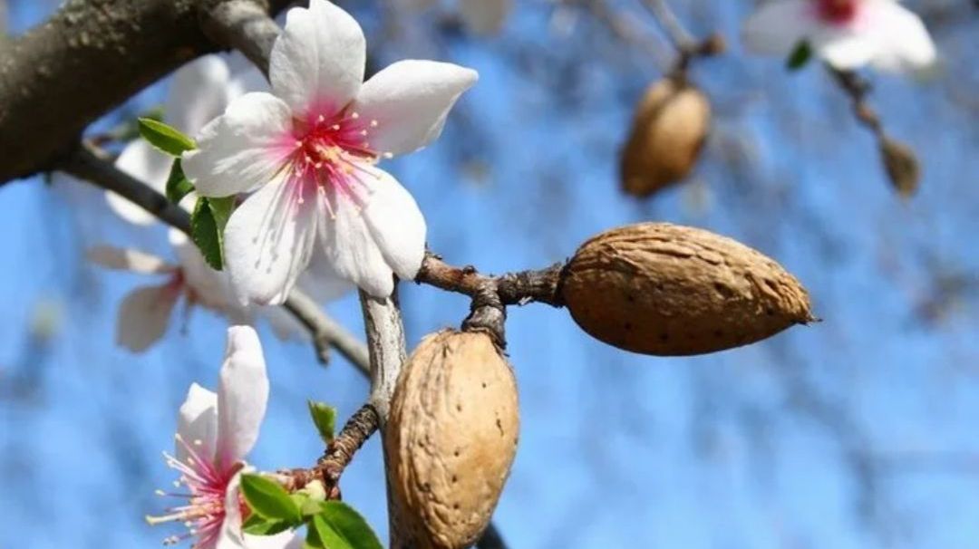 Раскрываем лучшие достижения для здоровья 2025 смотреть онлайн