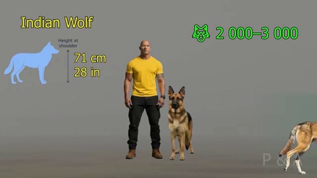 Планета 224 смотреть онлайн