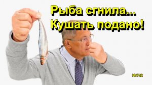 "Рыба сгнила... Кушать подано!" "Открытая Политика". Выпуск - 742 24.01.26