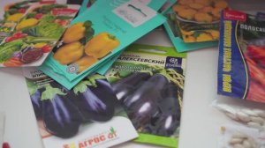 ПЕРЕЦ - УРОЖАЙНЫЕ СОРТА НА 2026 год. ЛУЧШИЕ  СОРТА ПЕРЦА СЛАДКОГО