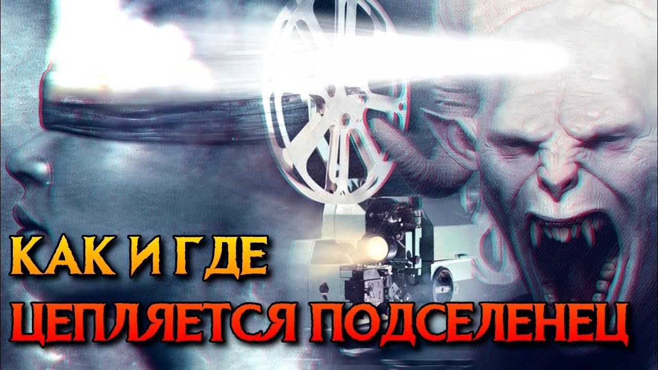 КАК И ГДЕ ЦЕПЛЯЕТСЯ ПОДСЕЛЕНЕЦ смотреть онлайн