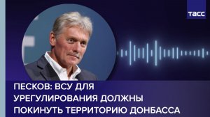 Песков: ВСУ для урегулирования должны покинуть территорию Донбасса