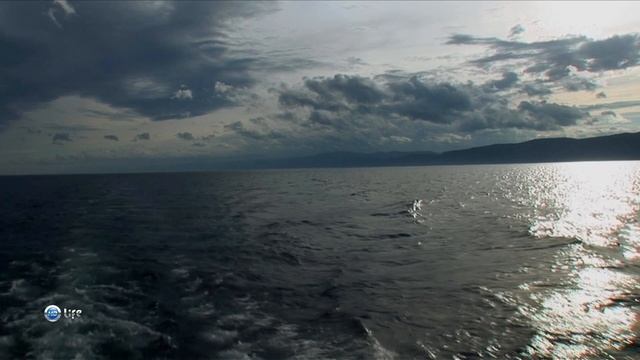 Чудеса природы 2 серия (документальный сериал, 2011) смотреть онлайн