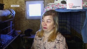 ДОМ ДЛЯ ДРУГА