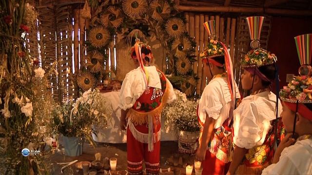 Чудеса природы 17 серия (документальный сериал, 2011) смотреть онлайн