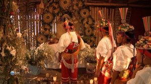 Чудеса природы 17 серия (документальный сериал, 2011)