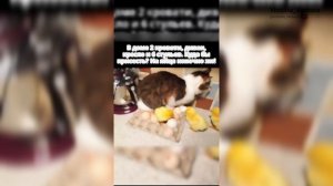 Доброе утро! Желаю в пятницу весёлого настроения! #доброеутро