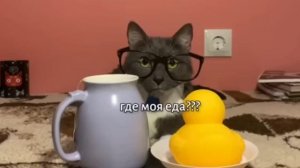 Kotiynet 2 серия 1 сезон