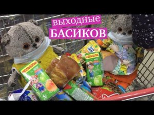 Как прошли выходные у БАСИКОВ / Семейка Басиков и Мисс Фаина