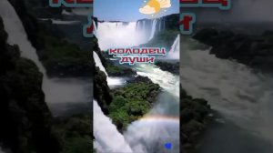 VID_20260123_120317_602.mp4