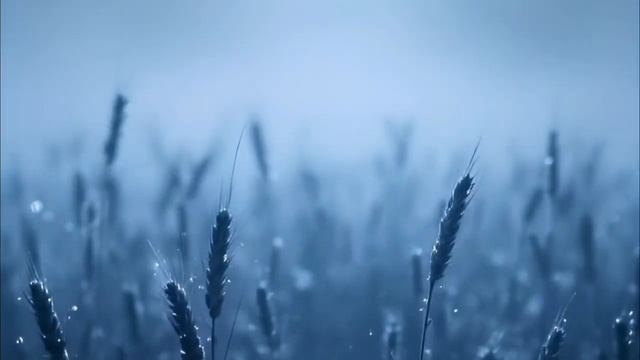 24 Января - День, когда сбываются все слова. смотреть онлайн