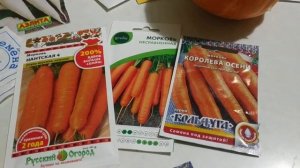Какую морковь посеять? Популярные сорта моркови.