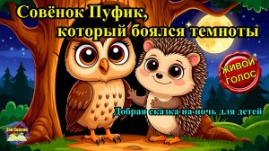 Совёнок Пуфик, который боялся темноты | Аудиосказка 🌙
