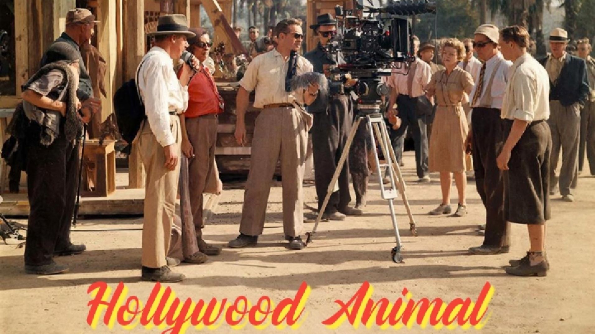 Hollywood Animal