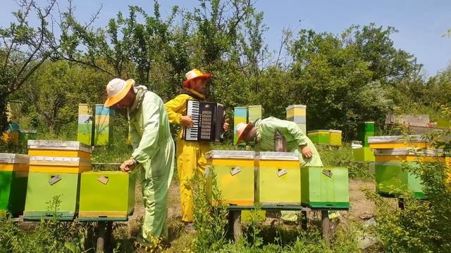 Бог даёт не мерою. Братья из Михайловки смотреть онлайн