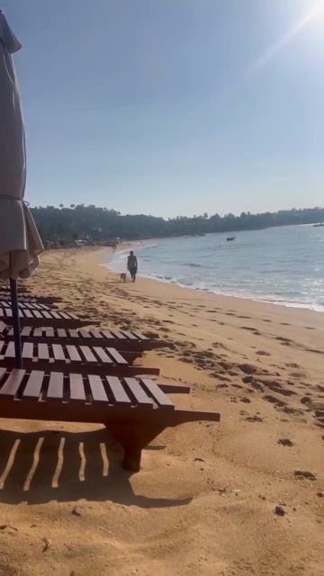 Стоимость шезлонгов на пляже в Унаватуна на Шри-Ланке 1000 рупий или 250₽