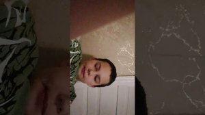 лускаю семечки в трансляции