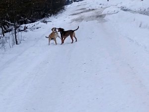 красивая разговаривае на каждое сообщение заходите и пишите