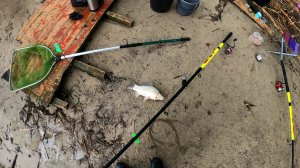 Когда подходит рыба