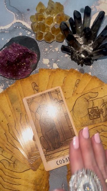 ЭТО ТЕБЯ ПОРАДУЕТ! #тароонлайн #таро смотреть онлайн