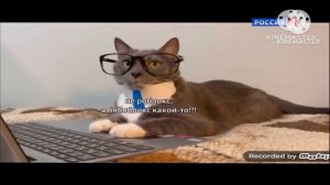 Переход В 16:9 (Россия 1 Варя, 23.01.2026)