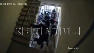 Организатором массовых актов вандализма в высотках оказалась маленькая девочка