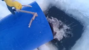 Запуск 23.01.26