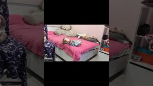 мини влог с Мишель