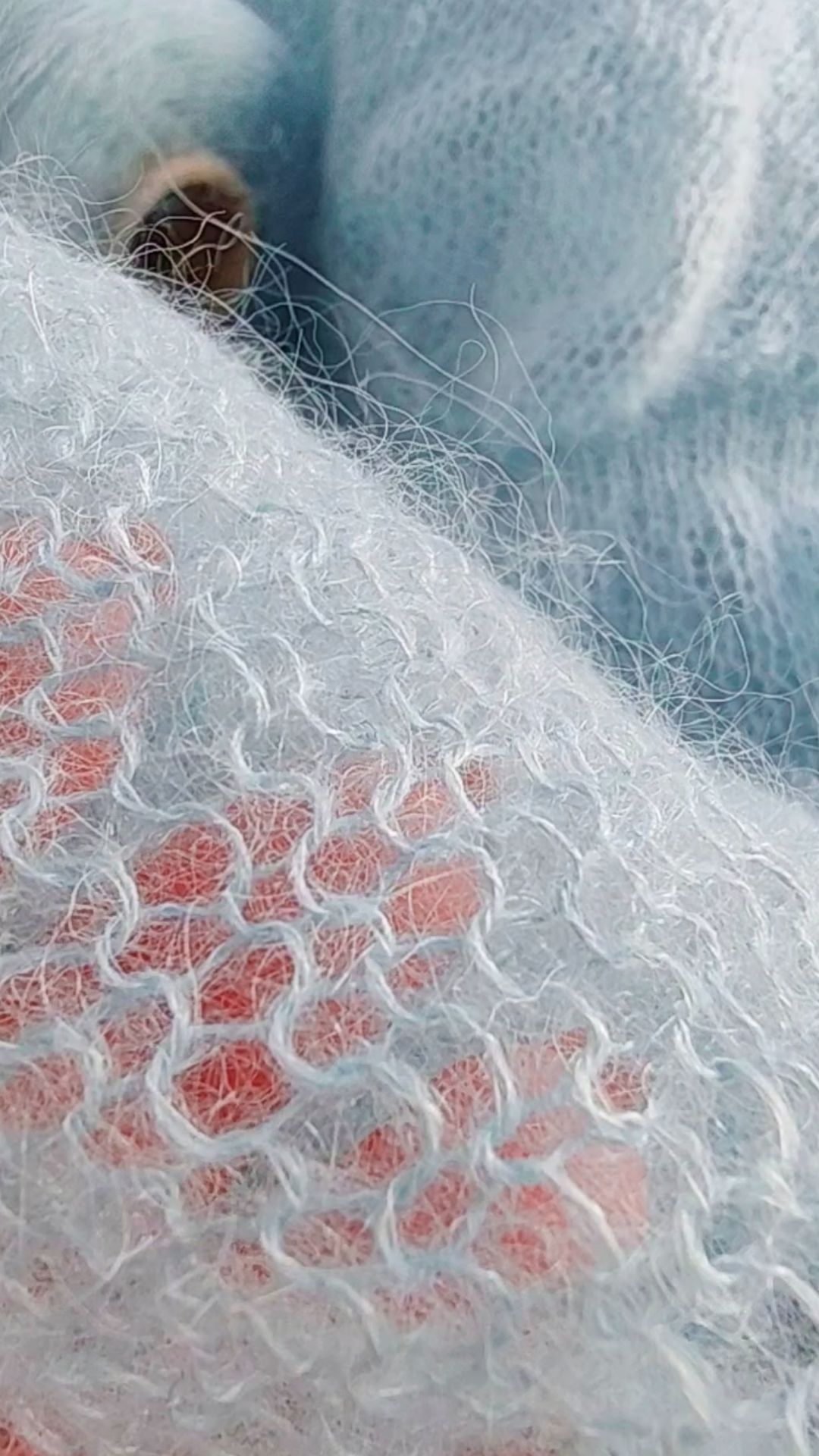 ПРОДВИЖЕНИЕ ГОЛУБОЙ ПАУТИНКИ смотреть онлайн