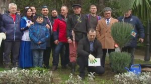 В парке "Ривьера" в Сочи высадили хвойные деревья