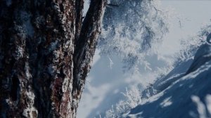 ИИ Зимняя чистота