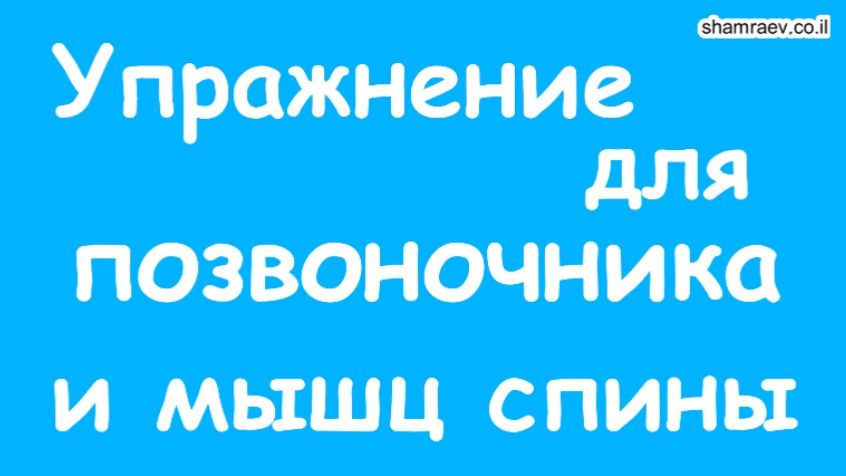 Упражнение для позвоночника и мышц спины. Рассеянный склероз (2021) смотреть онлайн