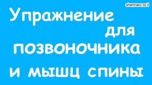 Упражнение для позвоночника и мышц спины. Рассеянный склероз (2021)
