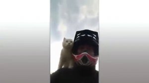 Животные приколы и не только😅