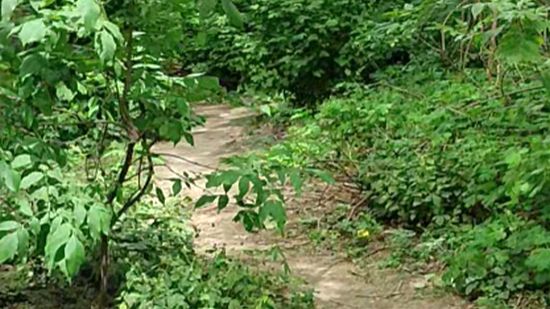 Неизвестная тропинка смотреть онлайн