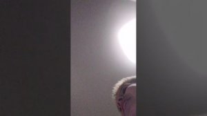 Готовим пельмени