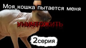 Моя кошка пытается меня уничтожить 2 серия