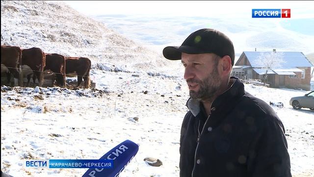 Вести Карачаево-Черкесия 22.01.2026 смотреть онлайн