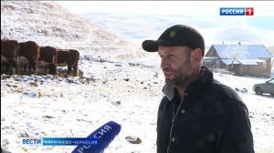 Вести Карачаево-Черкесия 22.01.2026