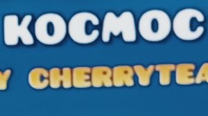 прошёл космос.