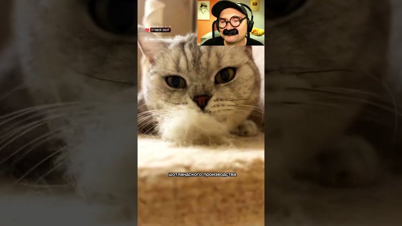 Самый милый репортаж смотреть онлайн