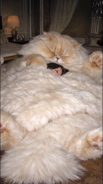 хотели бы себе такую кровать? смотреть онлайн