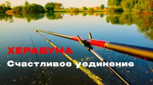 Один на пруду. Свист лески и рай для интроверта