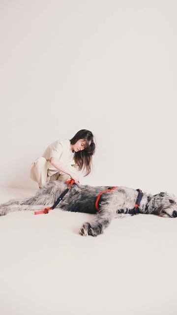 Поддержка центральная для собак Pets-rehab