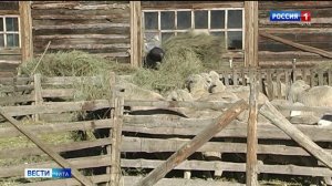 23 января «Вести-Чита» в 21:10