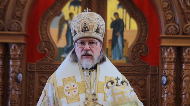 Проповедь митрополита МАРКА. День памяти свт. Феофана Затворника. 2026 г. смотреть онлайн