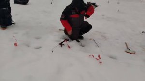 23.01.26 г. РК Волна.